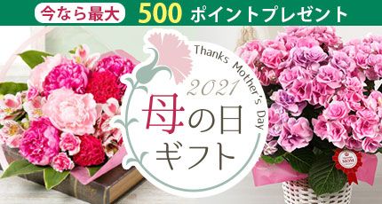 今なら最大500ポイントプレゼント 2021 母の日ギフト