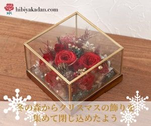 冬の森からクリスマスの飾りを集めて閉じ込めたよう