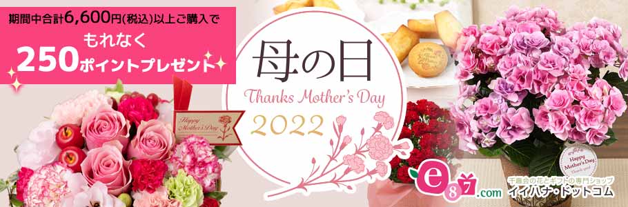 期間中合計6,600円(税込)以上ご購入でもれなく250ポイントプレゼント 母の日2022 e87.com 千趣会の花とギフトの専門ショップ イイハナ・ドットコム