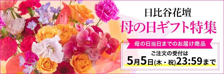 hibiyakadan.com 日比谷花壇 母の日ギフト特集 母の日当日までのお届け商品 ご注文の受付は5月5日(木・祝)23:59まで